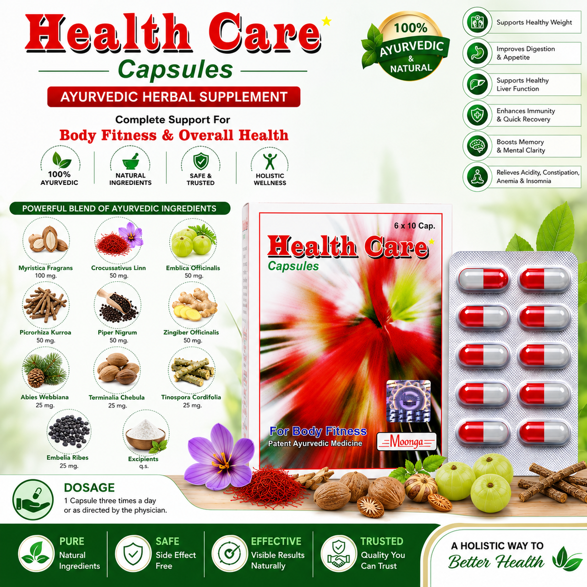 Health Care Capsules – Ayurvedic Supplement for Fitness, Digestion & Memory, Blister Pack (60 Capsules)