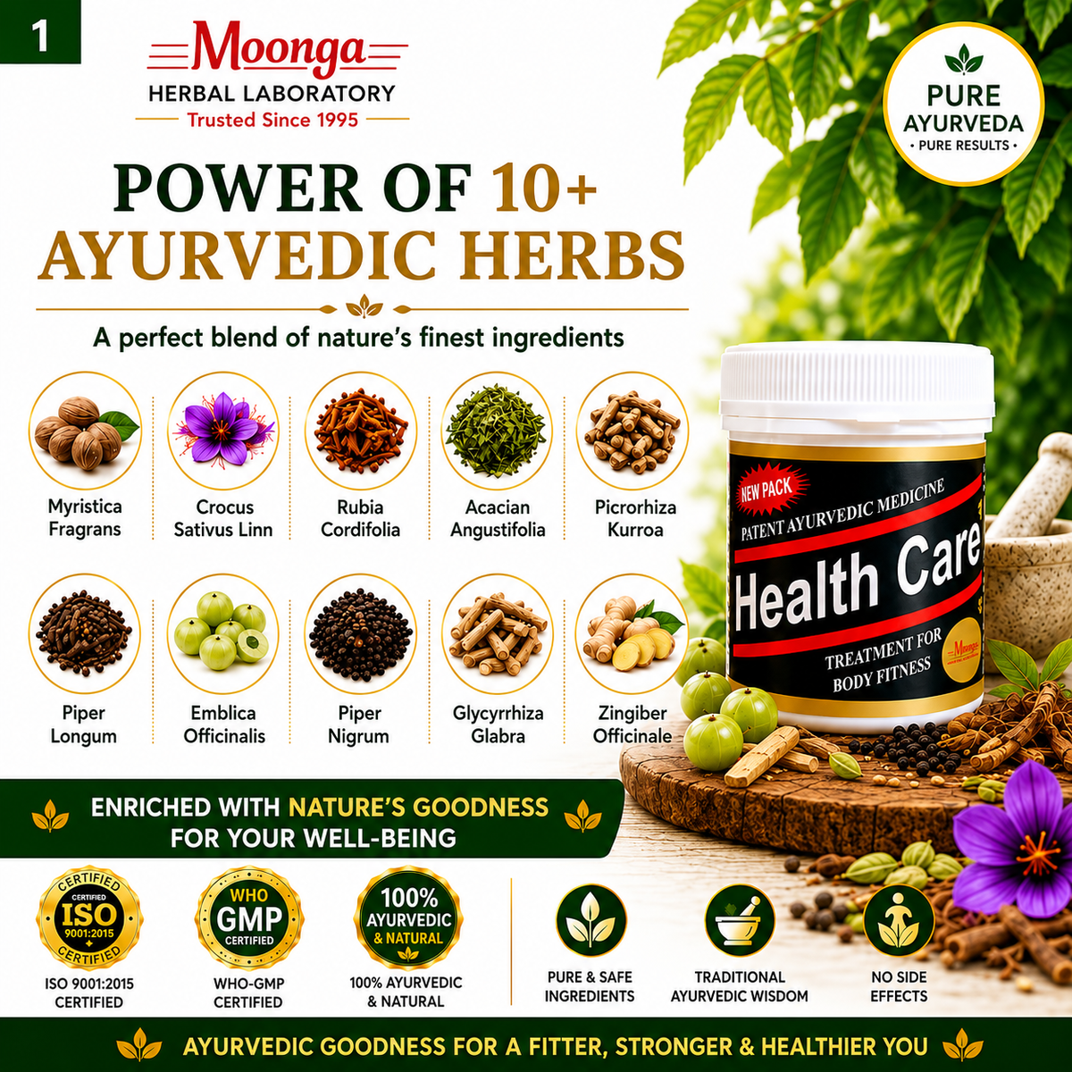Health Care Capsules – Ayurvedic Fitness & Wellness Supplement, Loose Pack (60 Capsules)