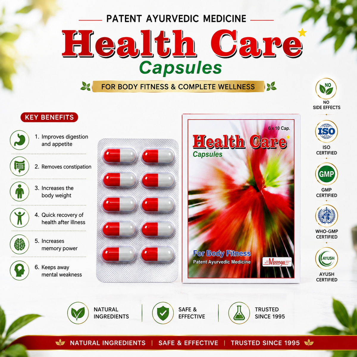 Health Care Capsules – Ayurvedic Supplement for Fitness, Digestion & Memory, Blister Pack (60 Capsules)
