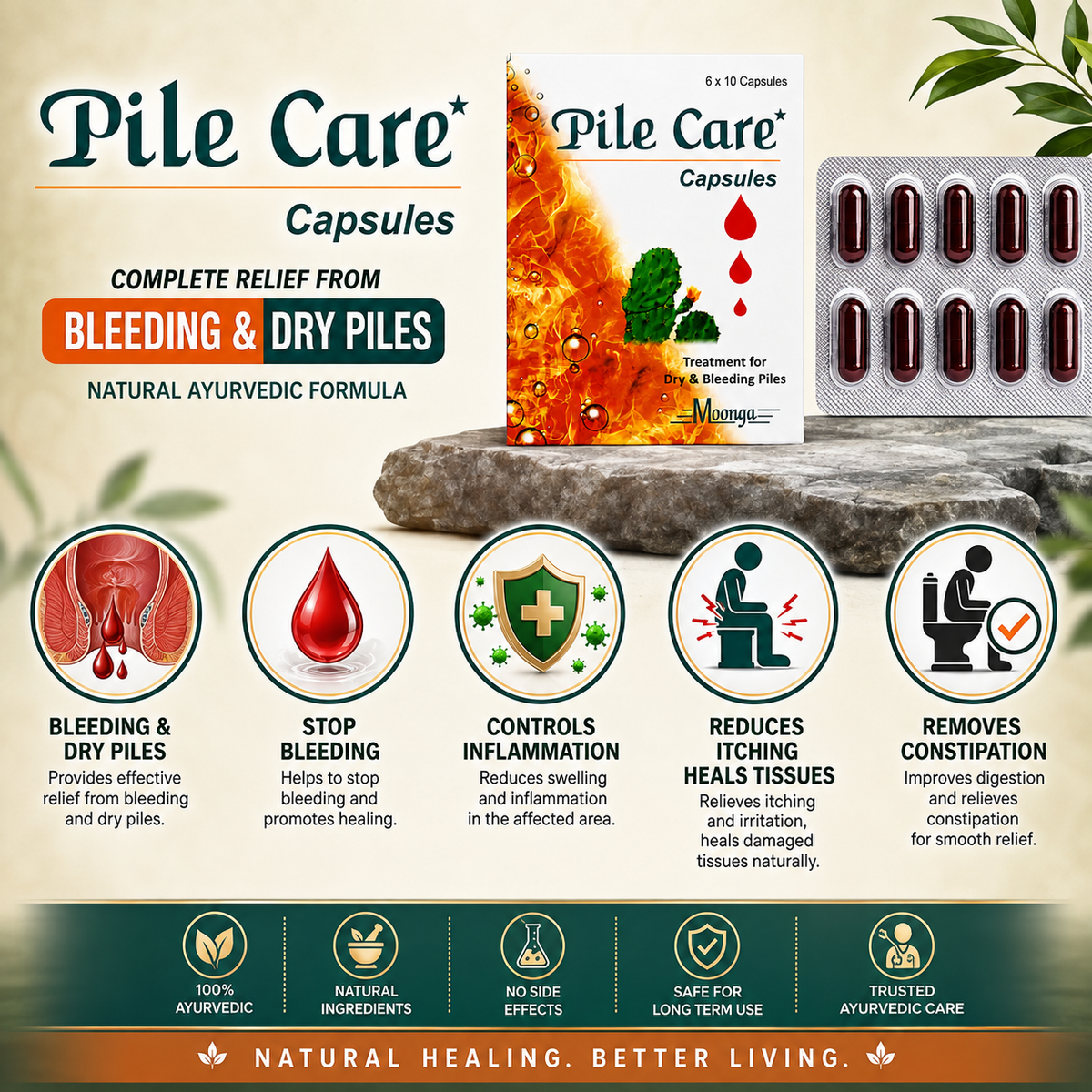 Pile Care Capsules – Ayurvedic Treatment for Bleeding & Dry Piles (60 Capsules)